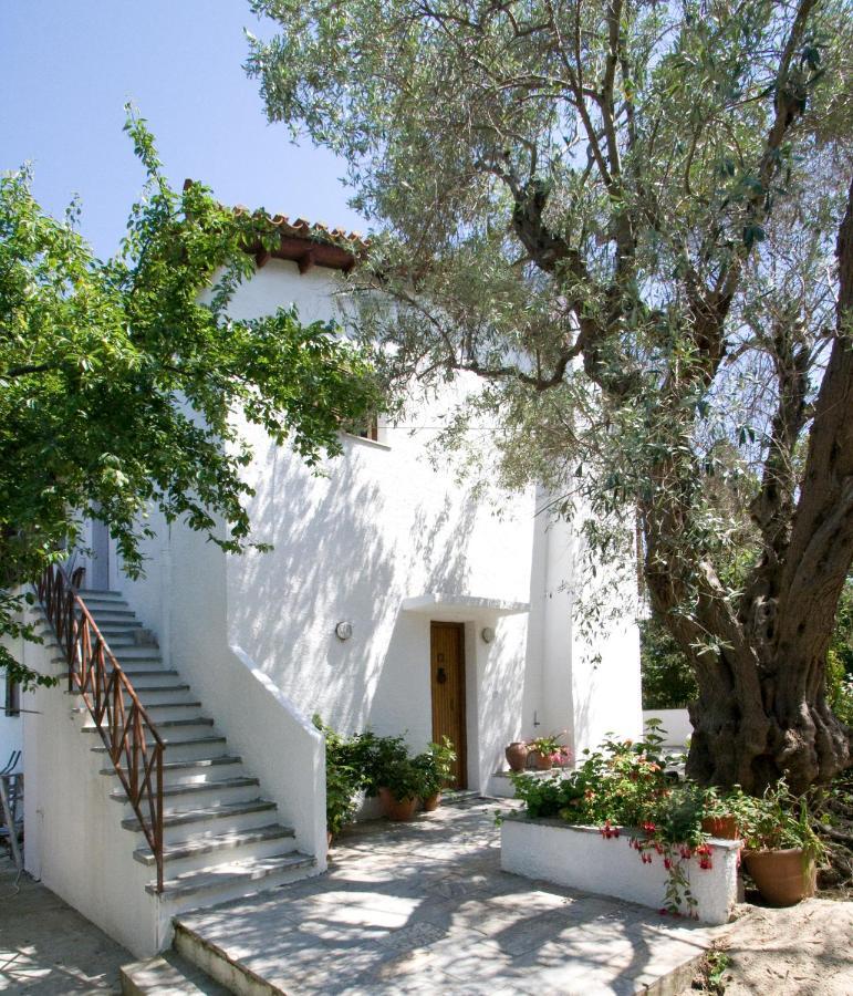 Villas Alexandra Skiathos Platanias  Εξωτερικό φωτογραφία