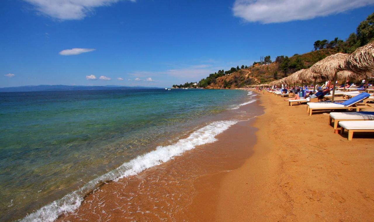 Villas Alexandra Skiathos Platanias  Εξωτερικό φωτογραφία